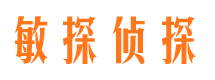 普安市调查公司